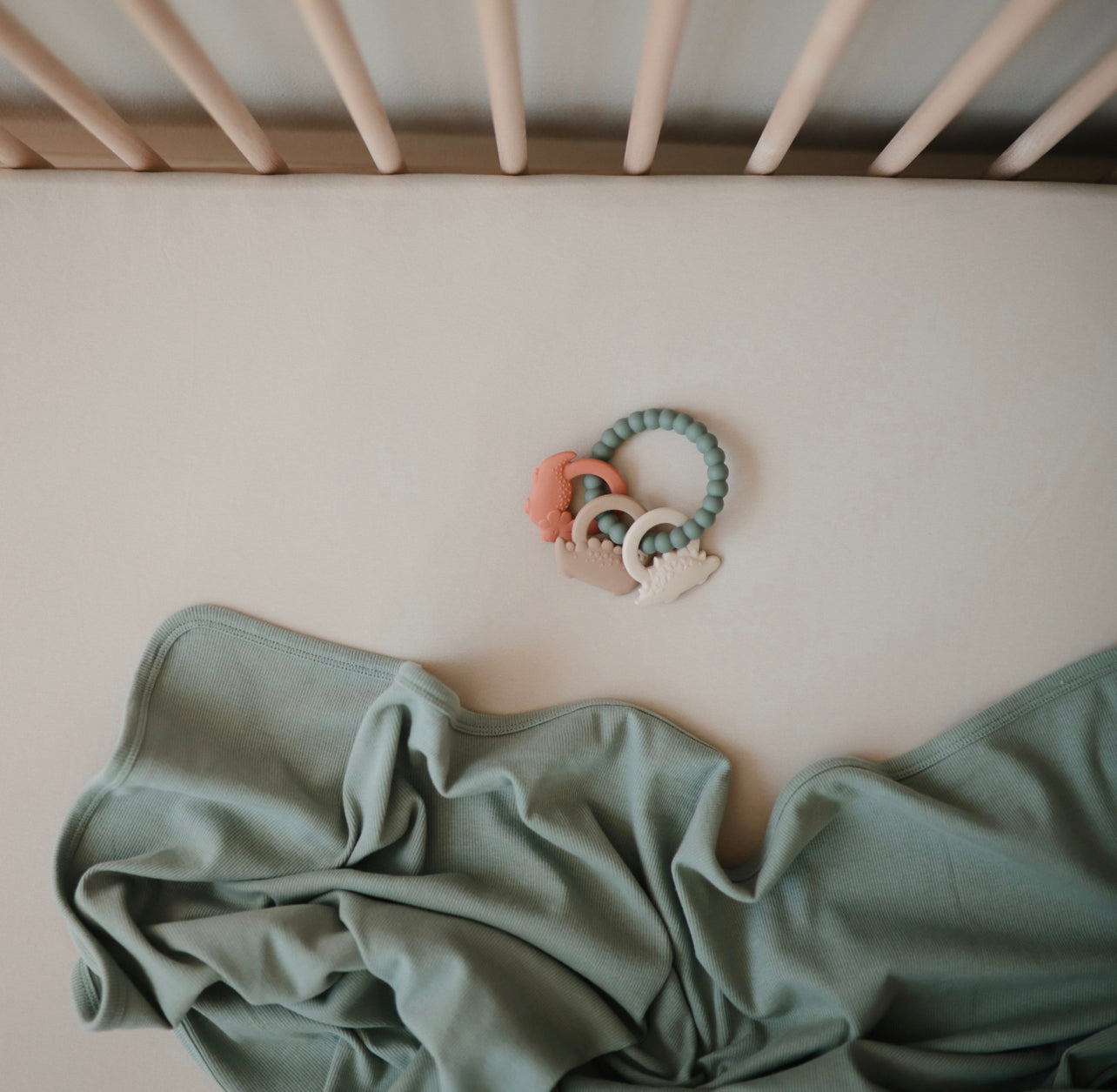 DINO TEETHING RING