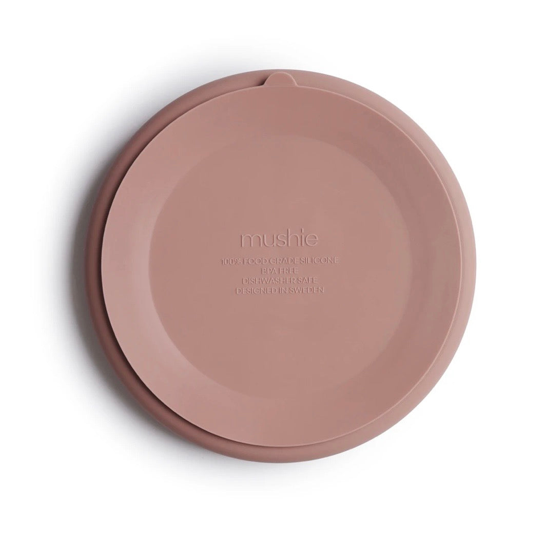Silicone Suction Plate